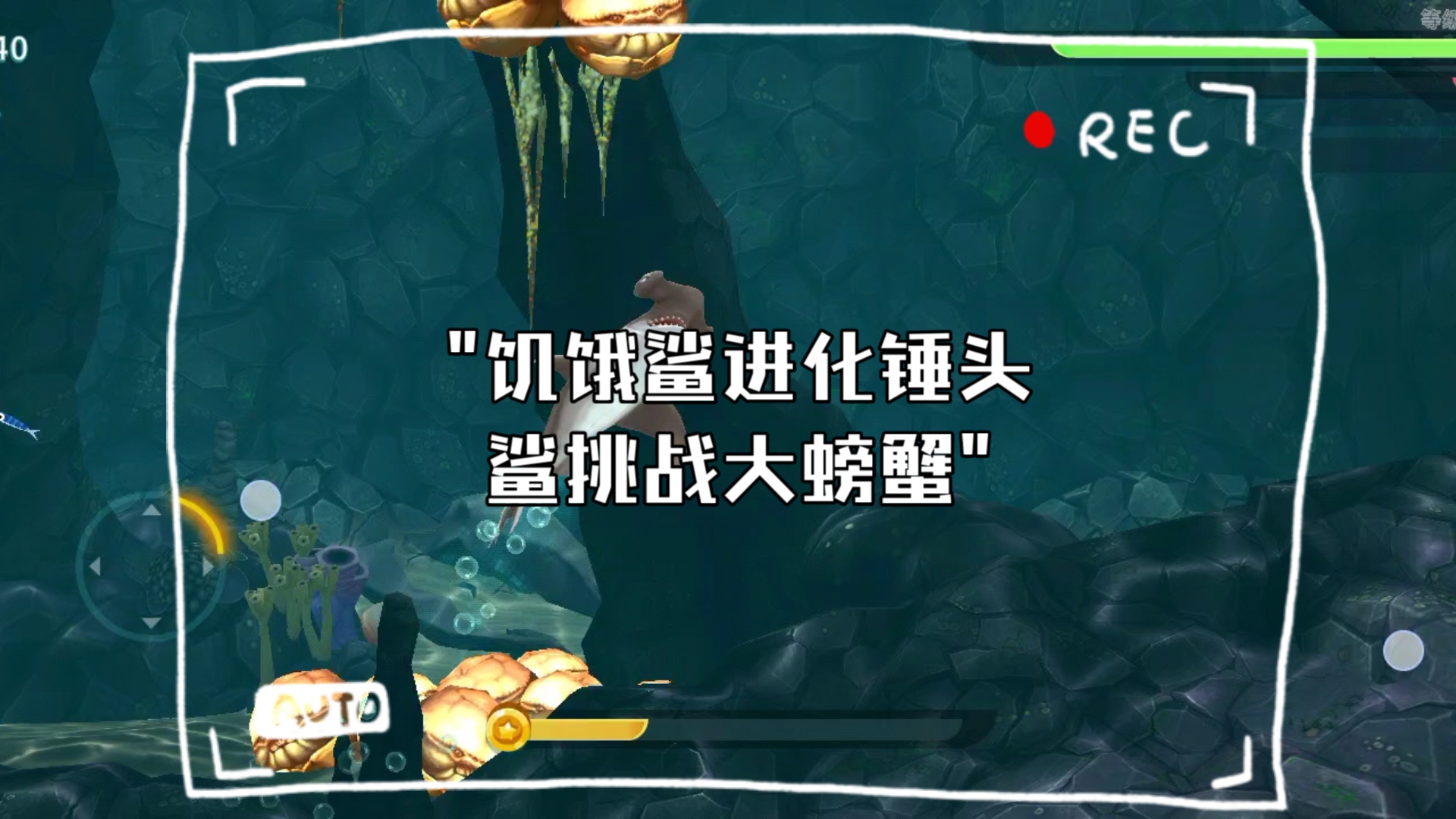 饥饿鲨进化锤头鲨挑战大螃蟹