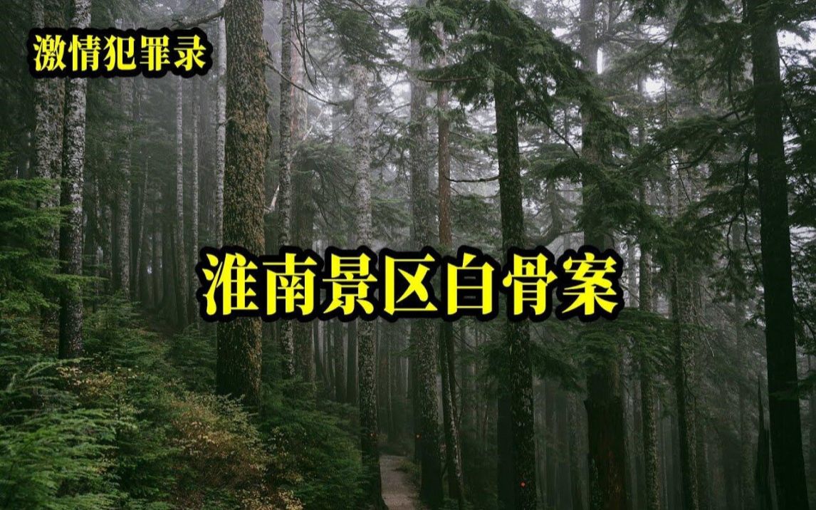 淮南景区白骨案【激情犯罪录】哔哩哔哩bilibili