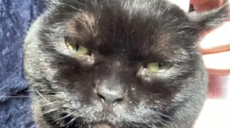 你的脸掉地上了