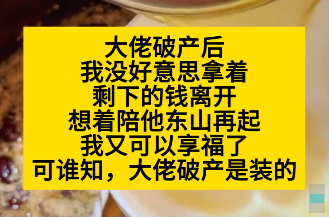 大佬破产后,我没好意思拿着剩下的钱离开,想着等他东山再起,我又可以享福了,谁知道破产是假的……小说推荐哔哩哔哩bilibili