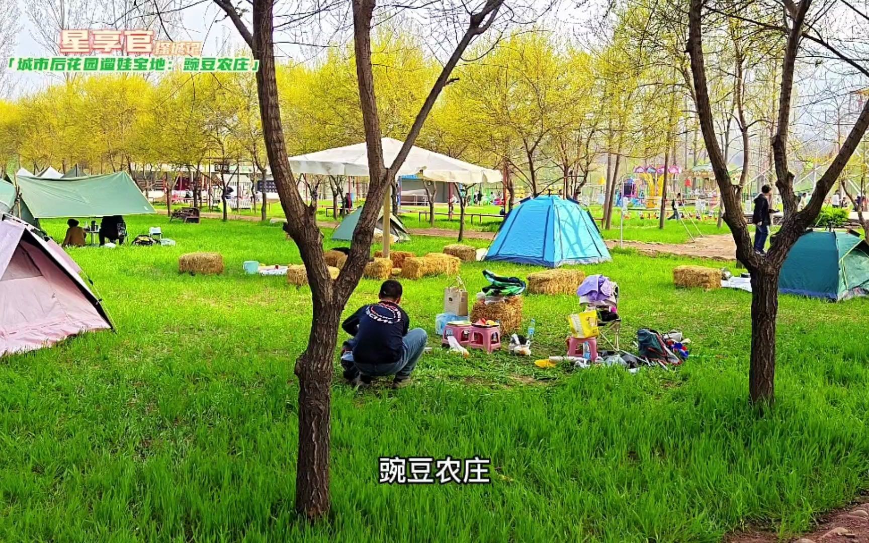 石家庄城市的后花园"豌豆农庄",一个能够让你沉浸一整天的度假好去处