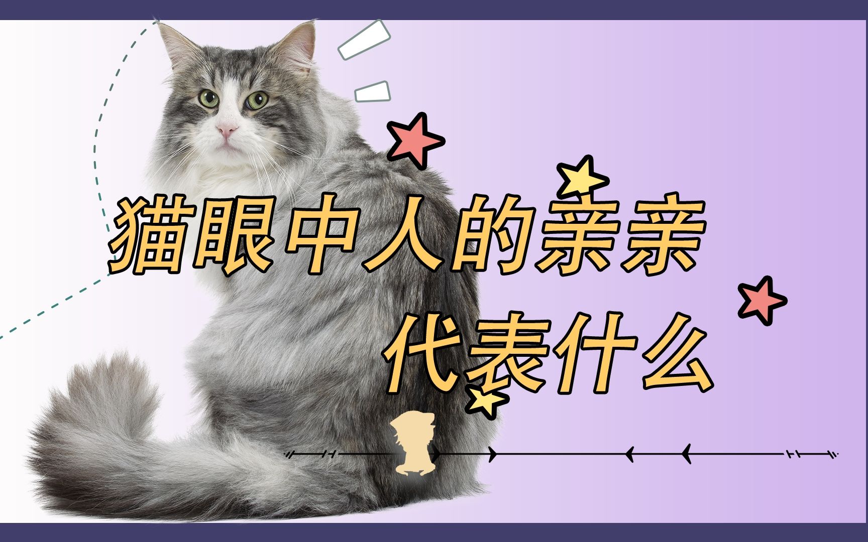 在小猫咪眼中,人类的亲亲代表什么?哔哩哔哩bilibili