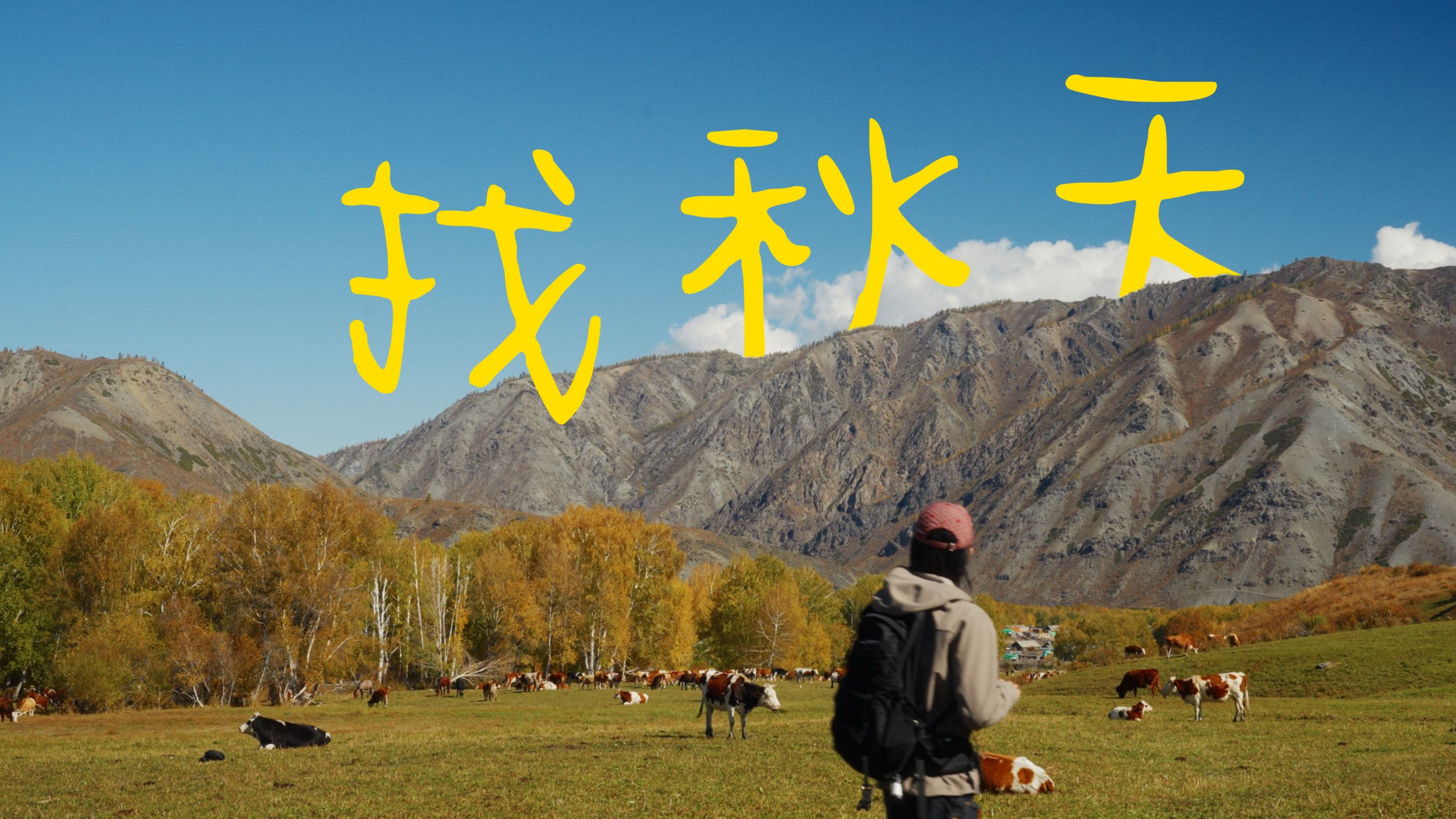 自驾1500km，我们去北疆的原始村落寻找秋天｜K-POP 秋日特辑