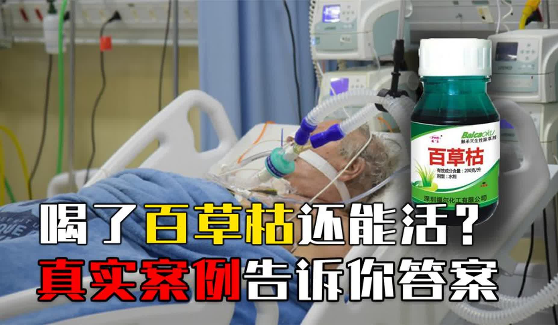 喝了百草枯必死无疑吗?齐鲁医院治百草枯有妙招,已有多人被救!哔哩哔哩bilibili