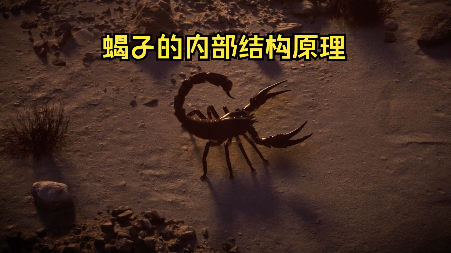 发明蝎子的真是个天才