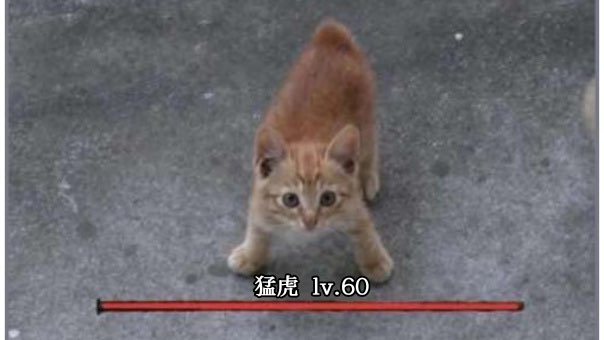 【直播回放】盯档猫 2024年07月08日22点场