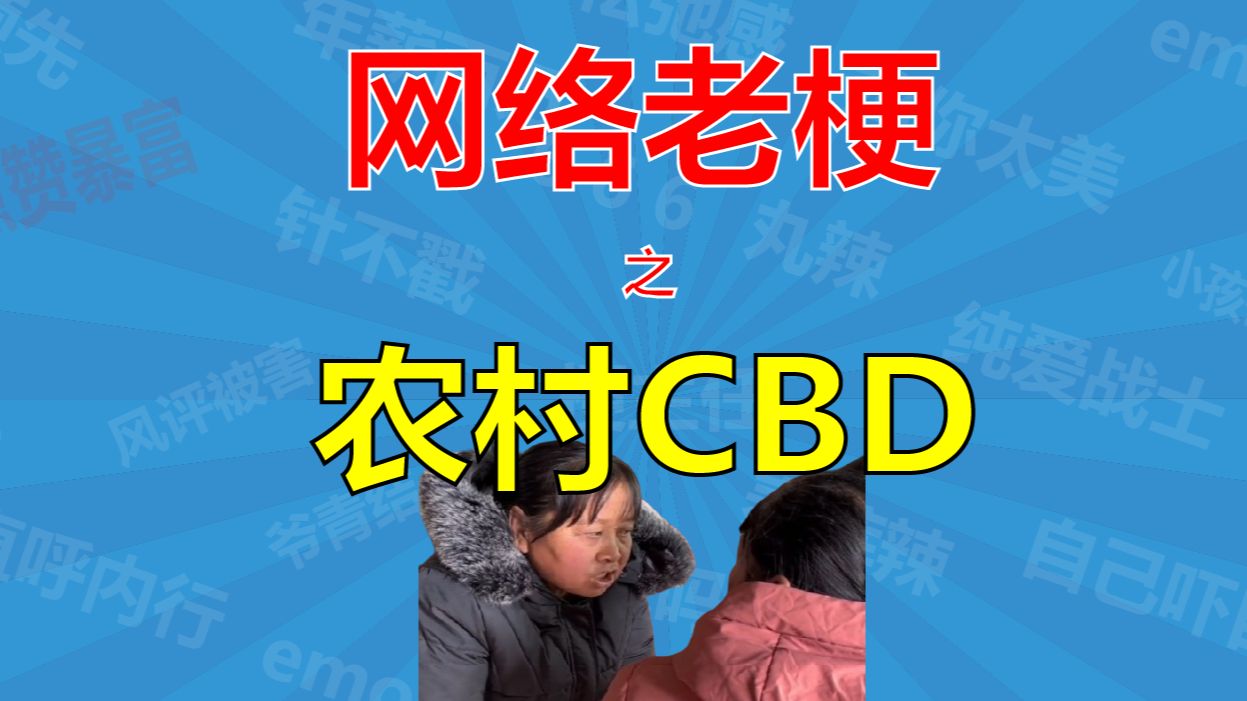 农村CBD是什么梗?【梗主任】哔哩哔哩bilibili