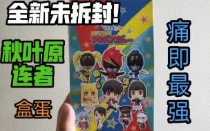 Download Video: 【F开箱】稀有！全新非公认战队秋叶原连者盒蛋套装！