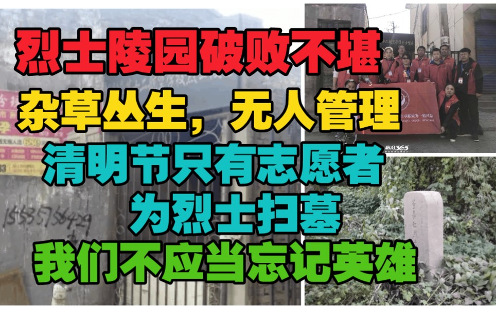 [图]烈士陵园破败不堪，杂草丛生，无人管理，志愿者团队到烈士陵园祭扫并献上花圈，清明祭英烈革命烈士的英雄事迹我们不应当遗忘。