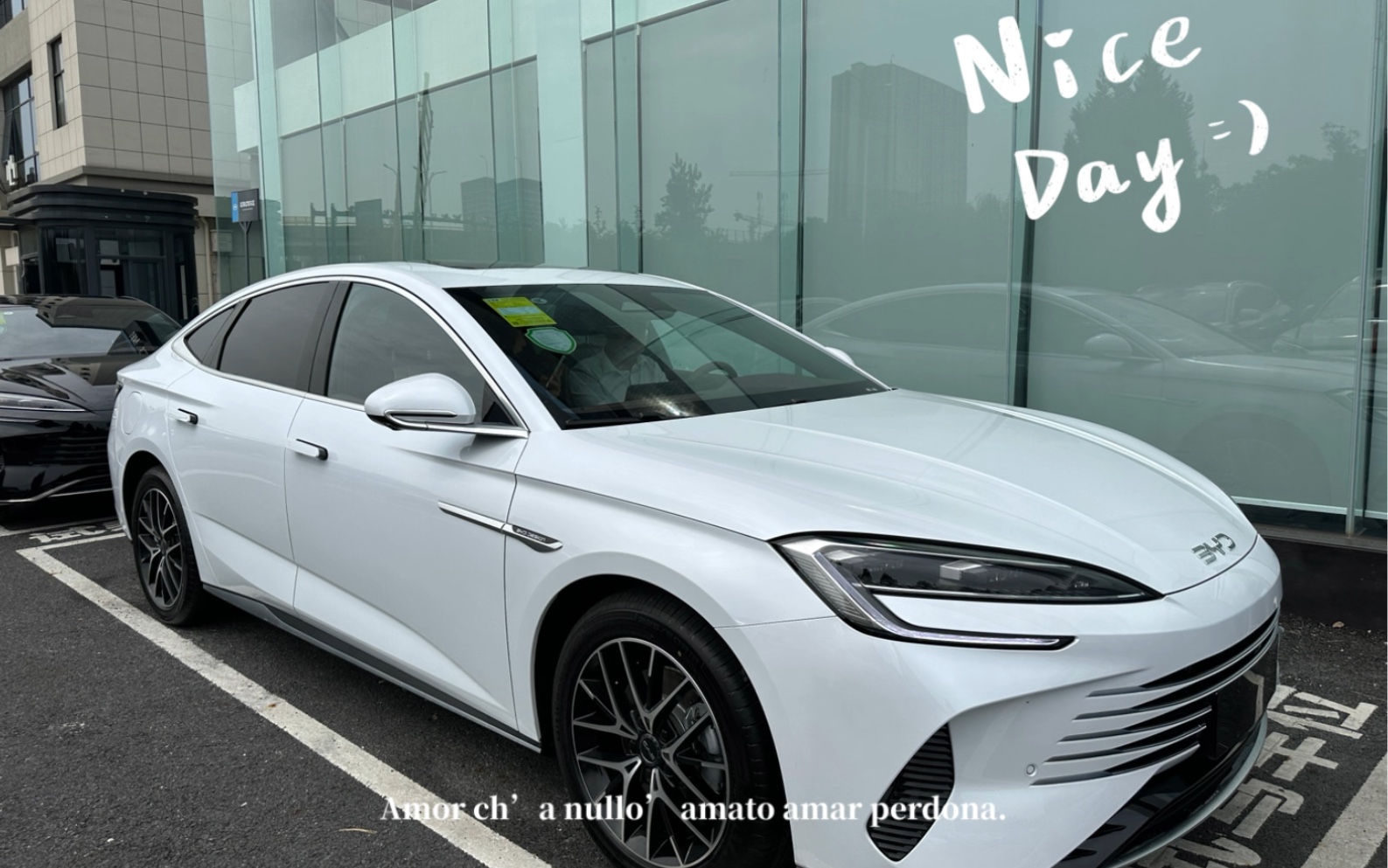 比亚迪海豹dmi极光白尊贵版本,提车啦!很开心!