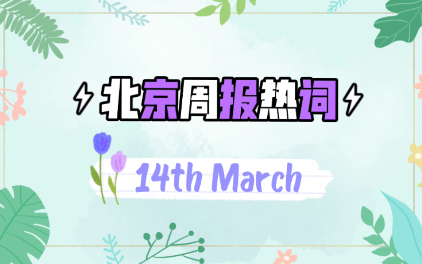 北京周报热词|3.14哔哩哔哩bilibili