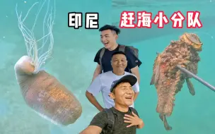 Download Video: 《印度尼西亚》 第16天：赶海偶遇会吐丝的海参，还收获好多石头鱼