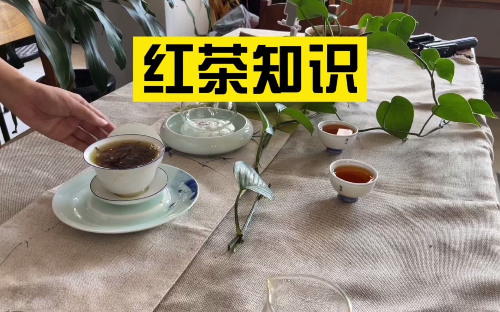 红茶的基础知识,两分钟带你搞懂什么是红茶哔哩哔哩bilibili