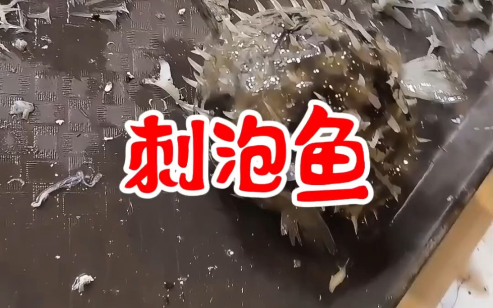 【小院姑娘】更新了一条视频,快来围观!