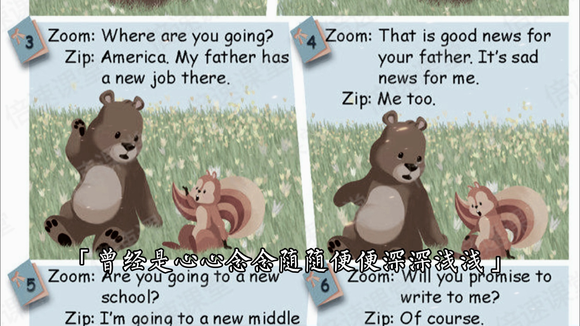 zoom和zip