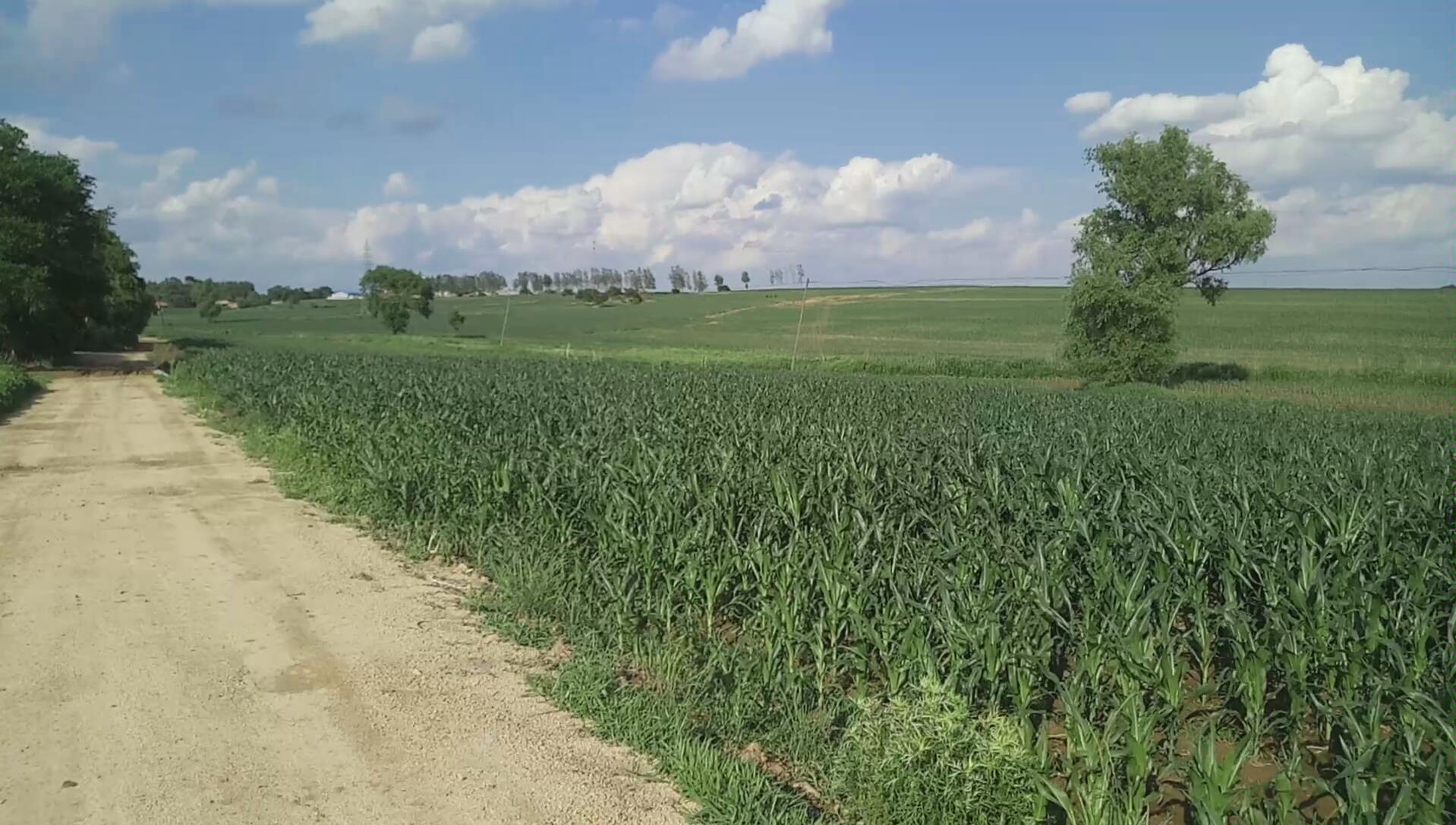 这才是真实的农村,蓝天大地