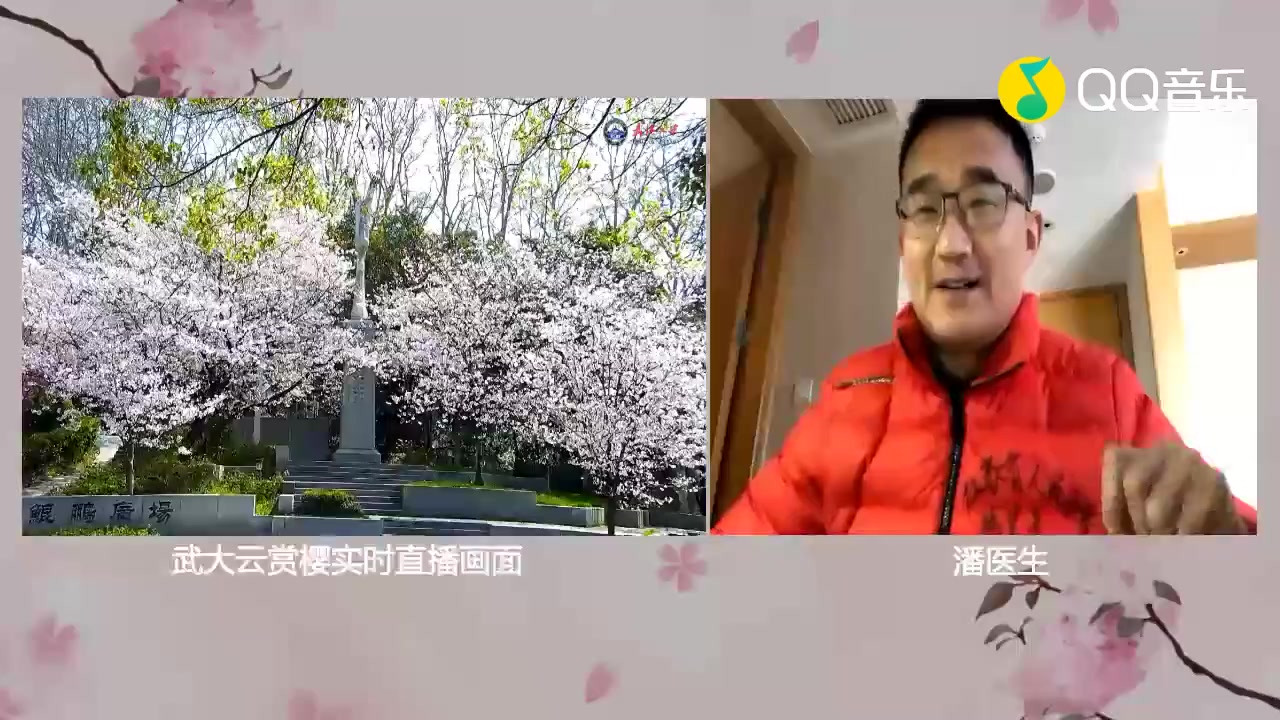 [图]QQ音乐-0319云赏樱：武汉春日不迟 听樱花在吟唱 (Live)(超清)