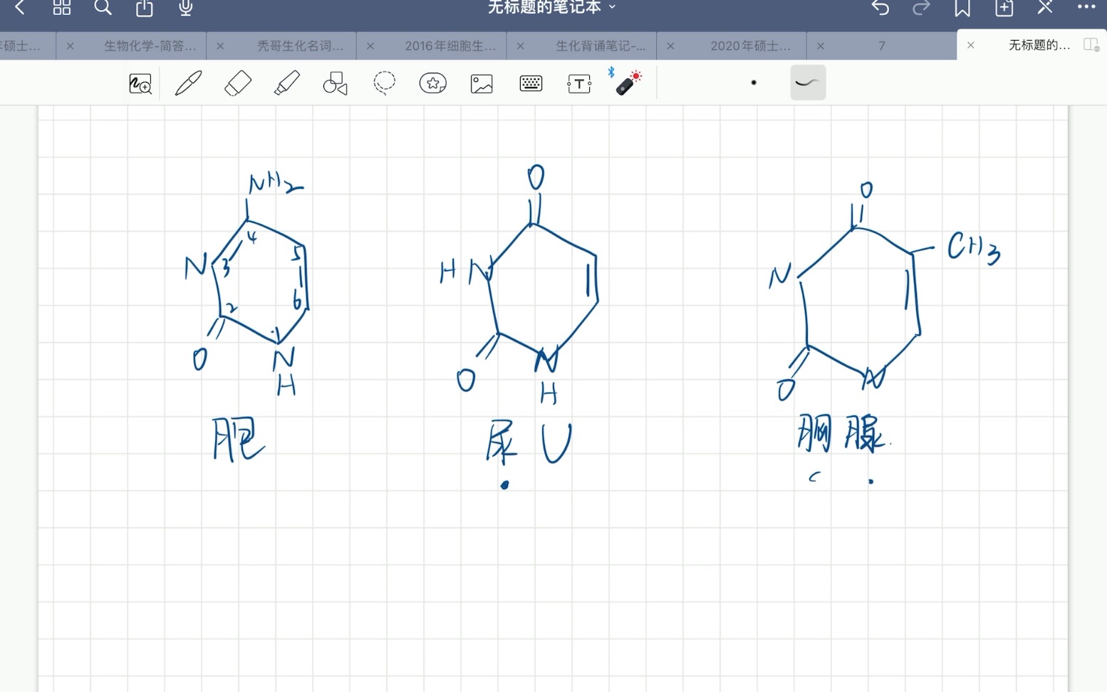 怎么记忆嘧啶碱基?【生物化学】哔哩哔哩bilibili