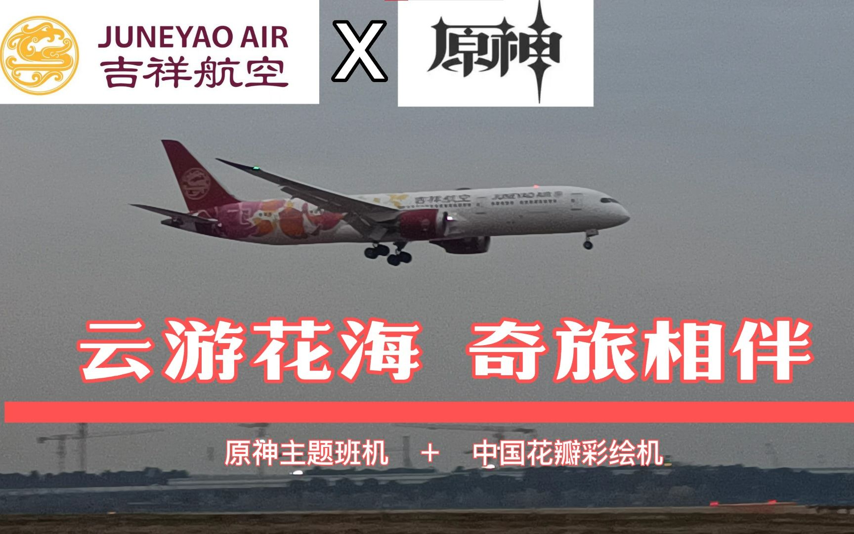 原神主题班机+中国花瓣彩绘!!!——吉祥航空波音7879担当HO1178次航班 降落虹桥机场实录哔哩哔哩bilibili