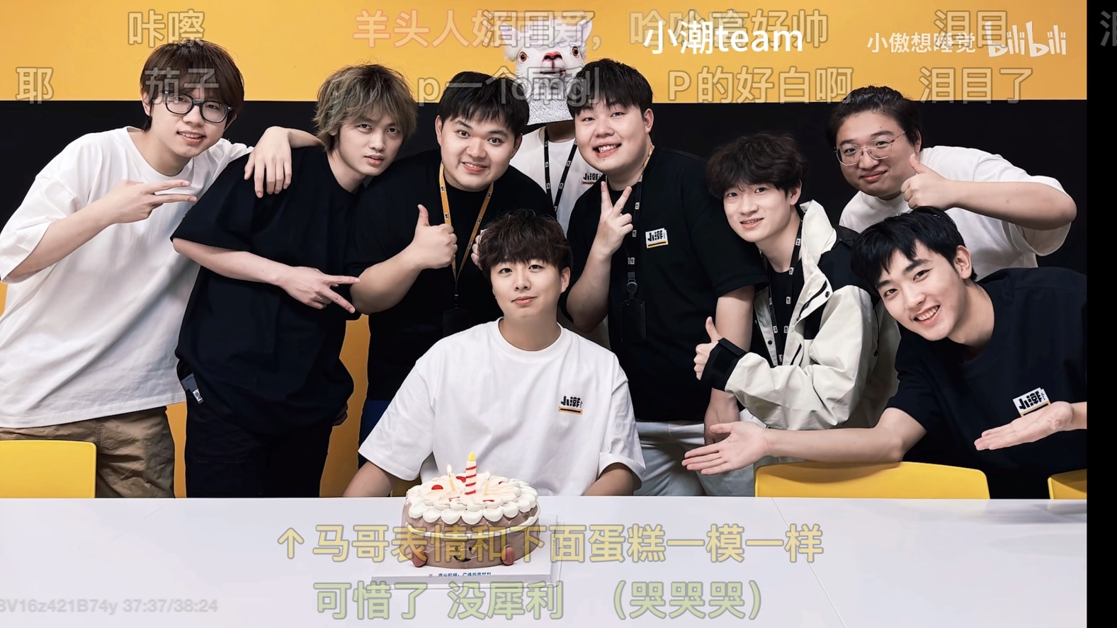 小潮team二创——绽放啦 你是灿烂的花