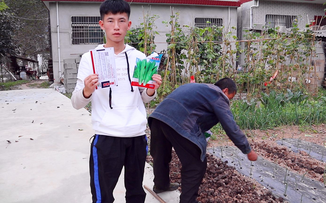虎子和爸爸在菜园子里又种了好多蔬菜,看看有你喜欢吃的吗_哔哩哔哩