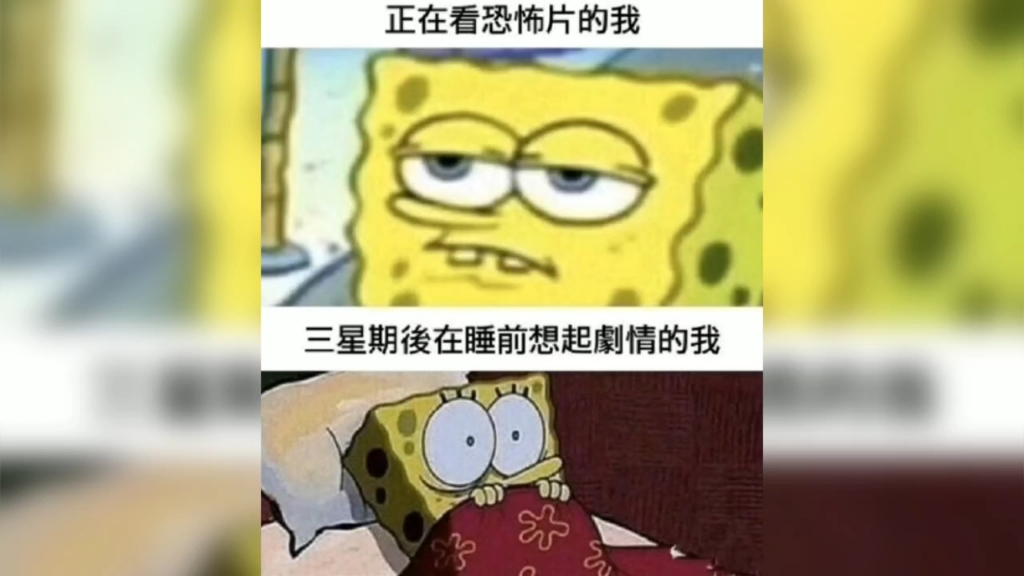 那些极度真实的图片哔哩哔哩bilibili