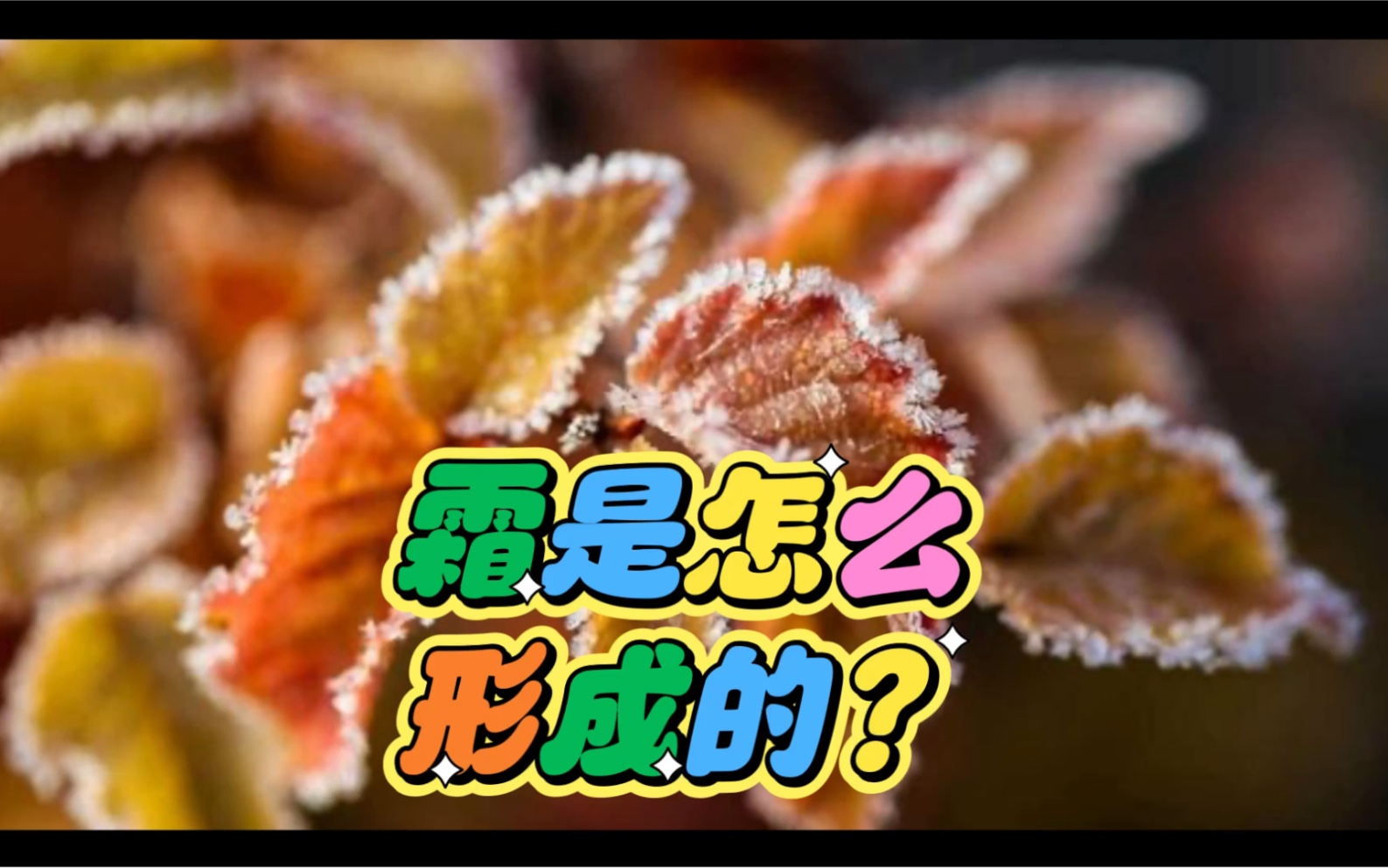 霜是怎么形成的?哔哩哔哩bilibili