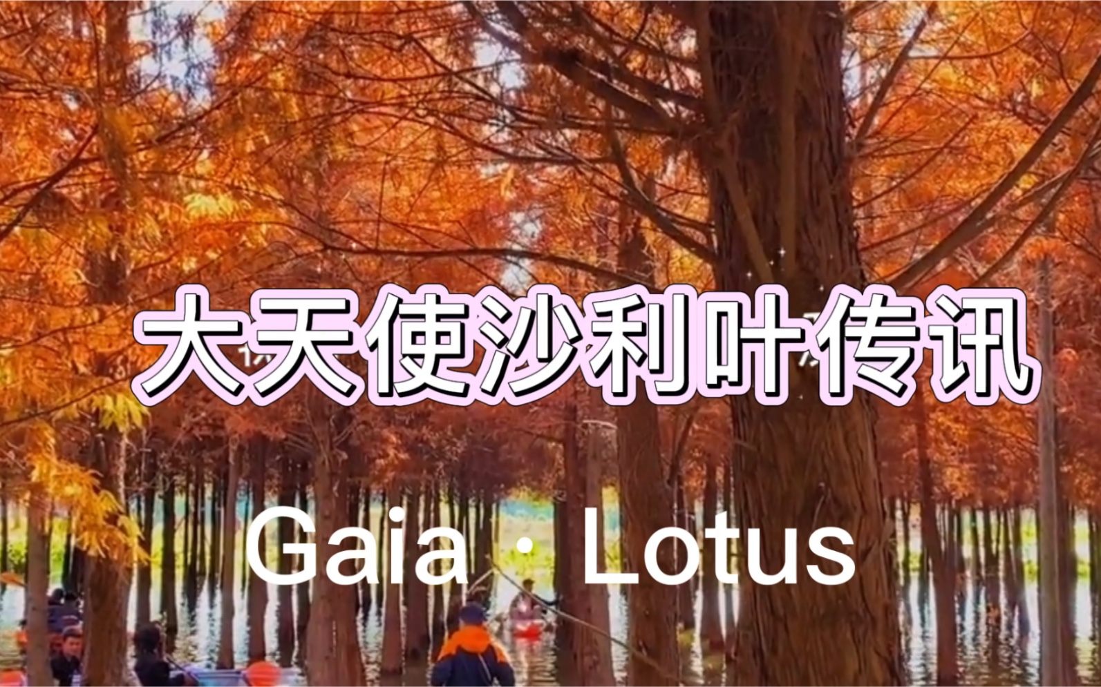 gaia·lotus【天使传讯】大天使沙利叶传讯