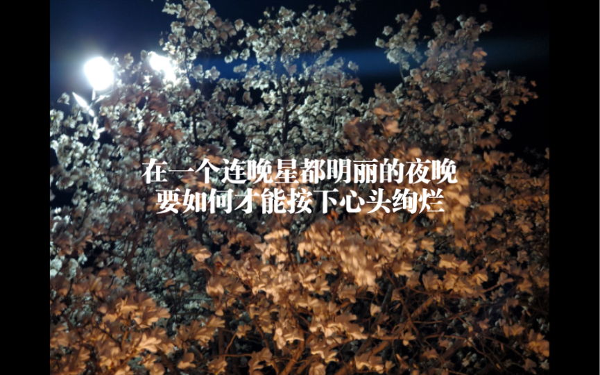 在一个连晚星都明丽的夜晚,要如何才能按下心头绚烂. 《难题》亘木哔哩哔哩bilibili