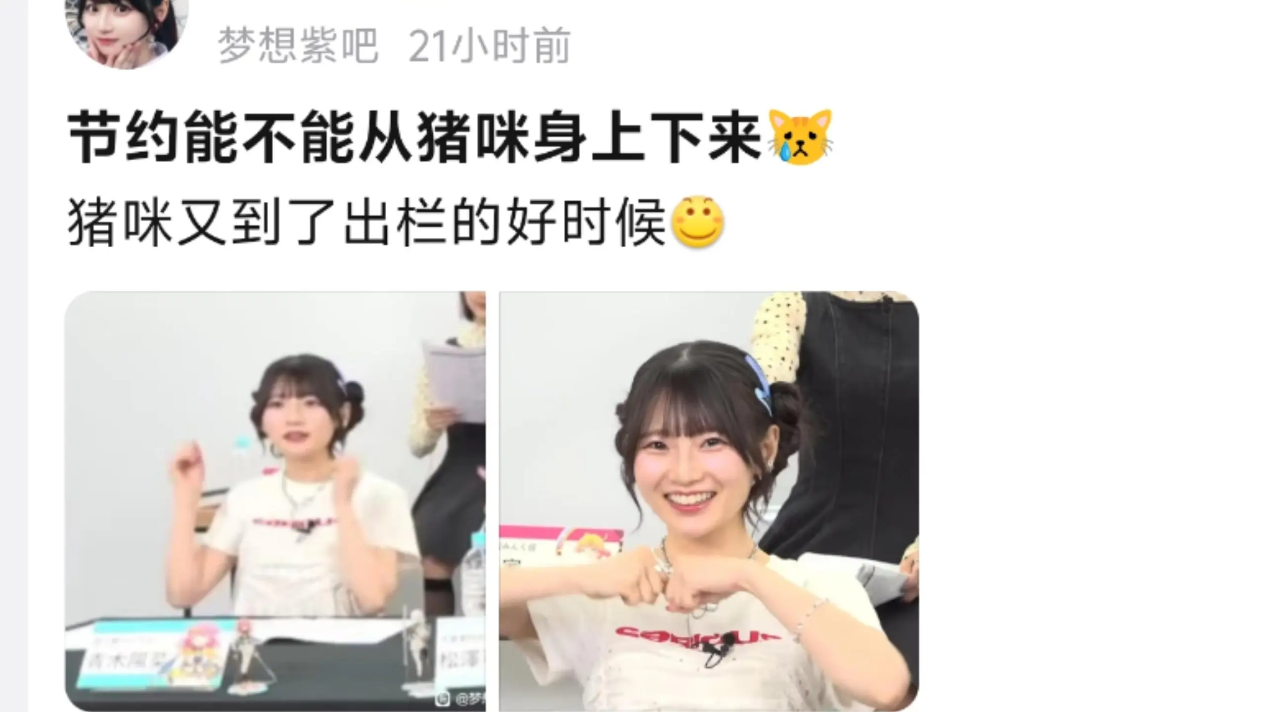 节约能不能从猪咪身上下来，猪咪又到了出栏的好时候_哔哩哔哩_bilibili