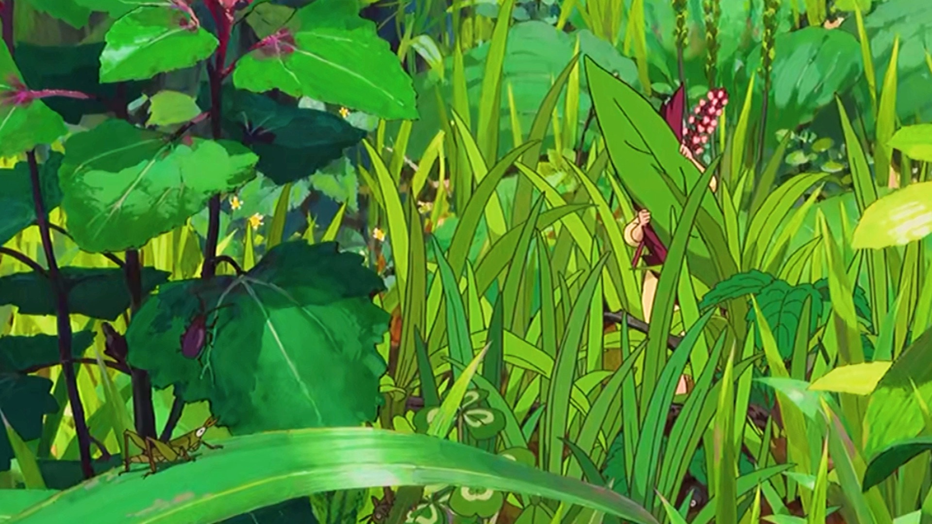 宫崎骏动漫的绿色太治愈啦