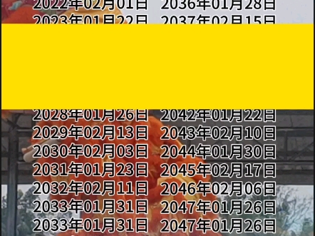 南宁市青秀区刘圩镇那救村里朗坡未来28年春节时间哔哩哔哩bilibili