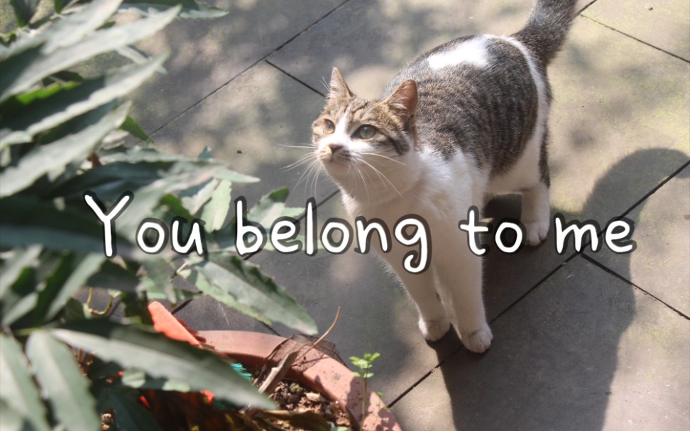 [图]【翻唱】you belong to me