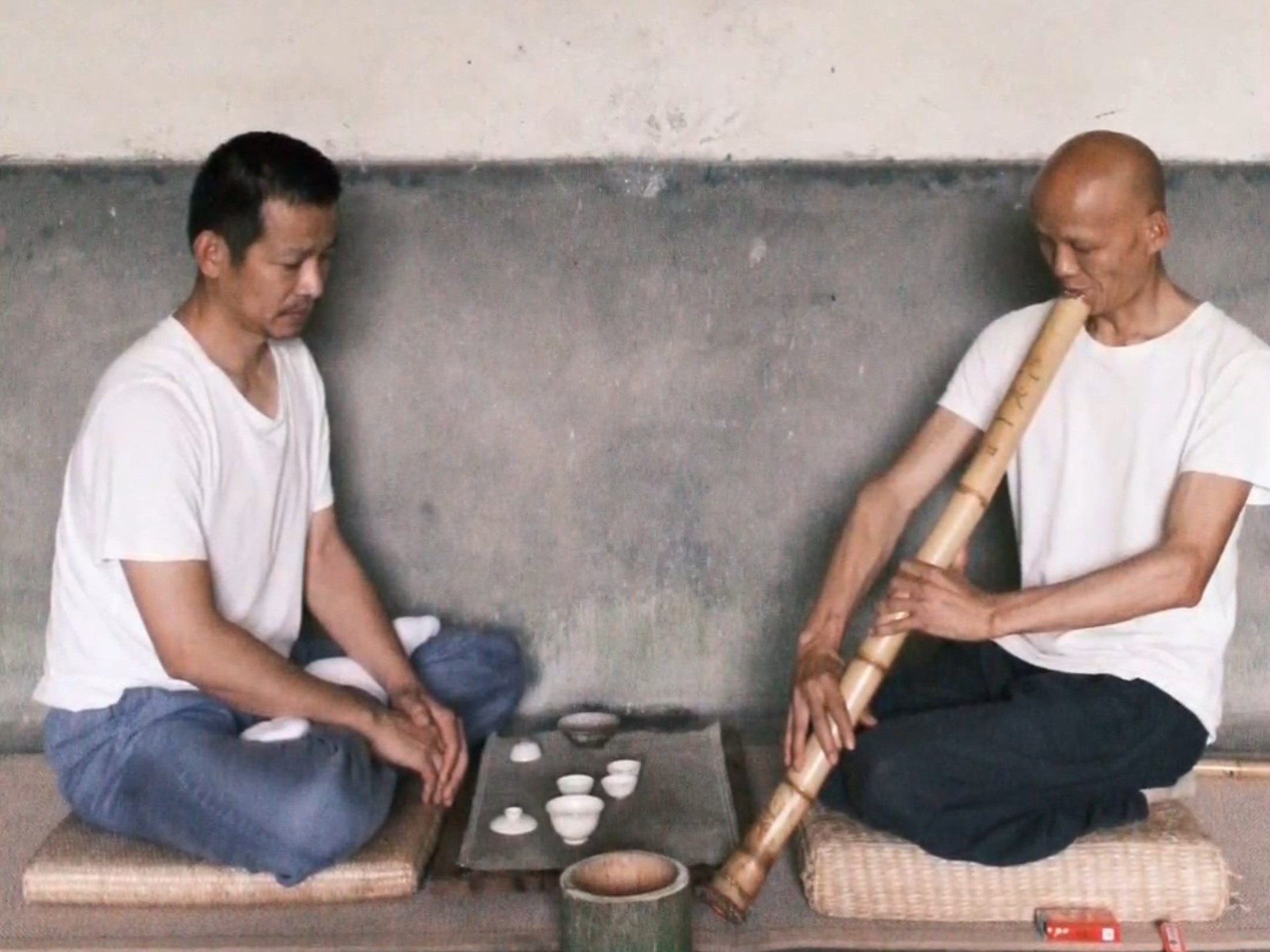 李清照《如梦令·昨夜雨疏风骤》吟唱-山居文字有声-山居文字有声-哔哩哔哩视频