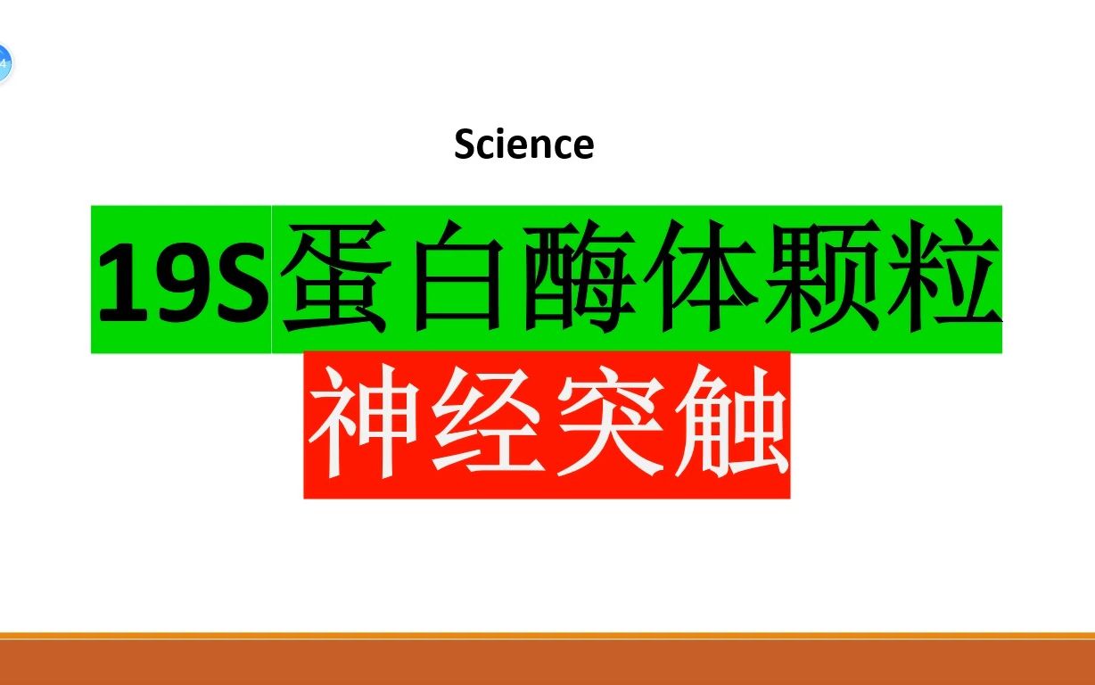 Science—游离调节性19S蛋白酶体颗粒调控突触功能哔哩哔哩bilibili