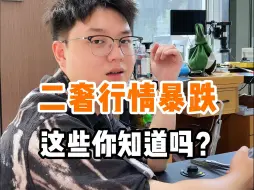 Download Video: 二奢行情崩了？我也要崩了