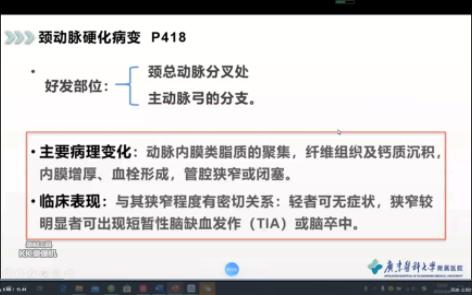 颈动脉硬化病变、四肢动脉解剖及正常声像图哔哩哔哩bilibili