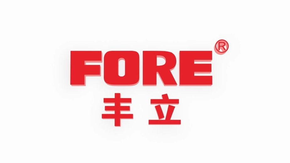 丰立智能301368_国家级专精特新"小巨人",小模数齿轮