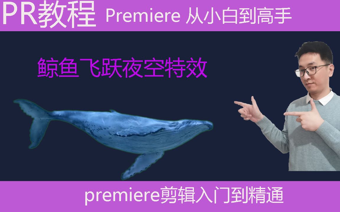 活动作品premiere教学pr梦幻鲸鱼特效鲸鱼飞跃夜空特效pr超级键绿幕