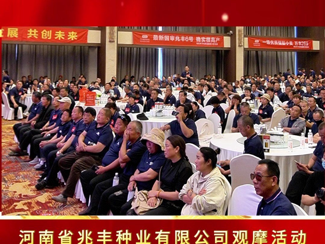 国审小麦兆丰6号观摩会现场