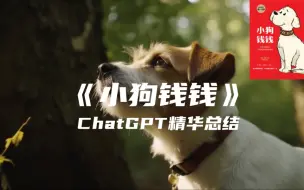 Download Video: 《小狗钱钱》| ChatGPT精华总结