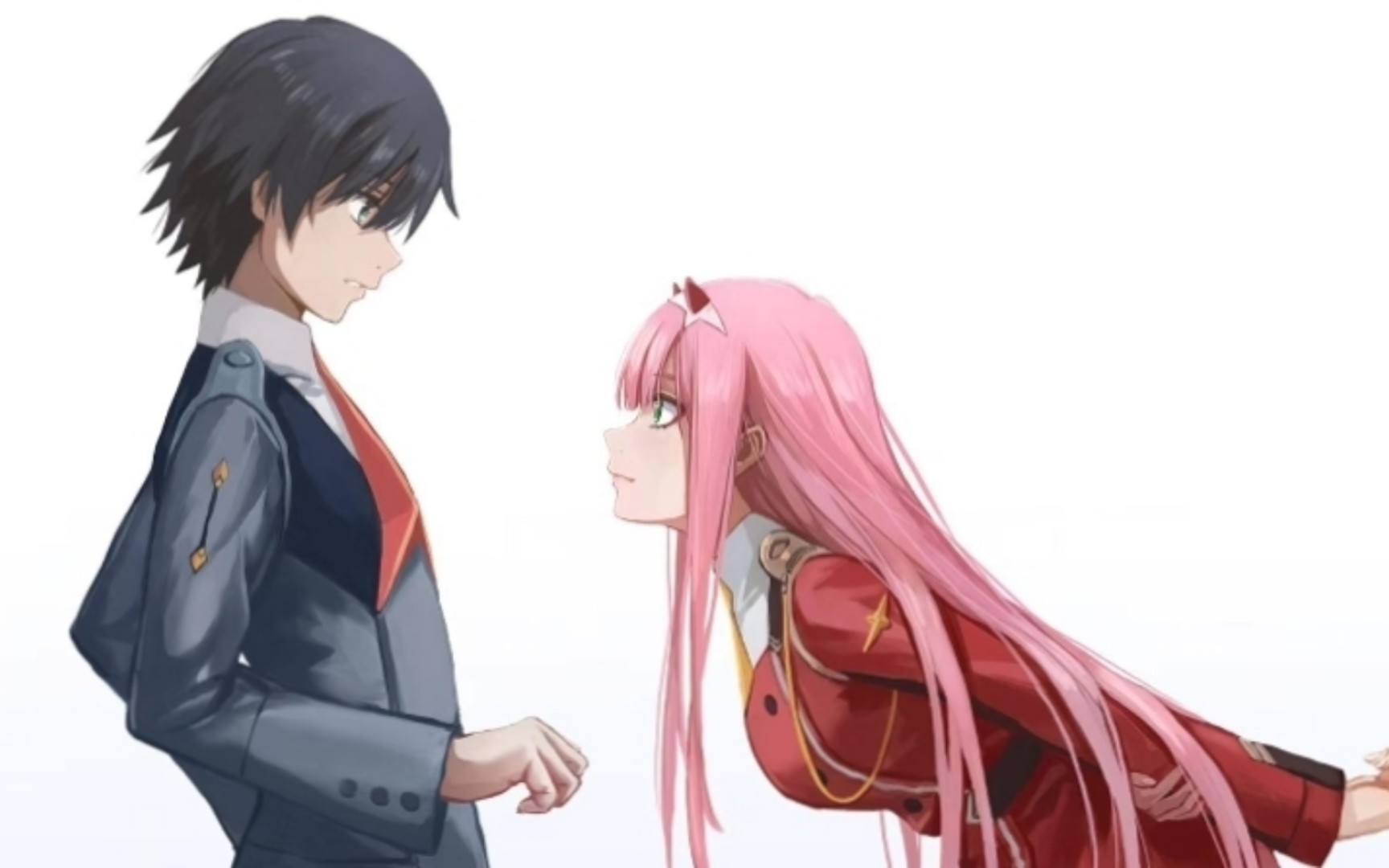 【国家队/02】鹤望兰无凋零之时 比翼鸟永世长存!