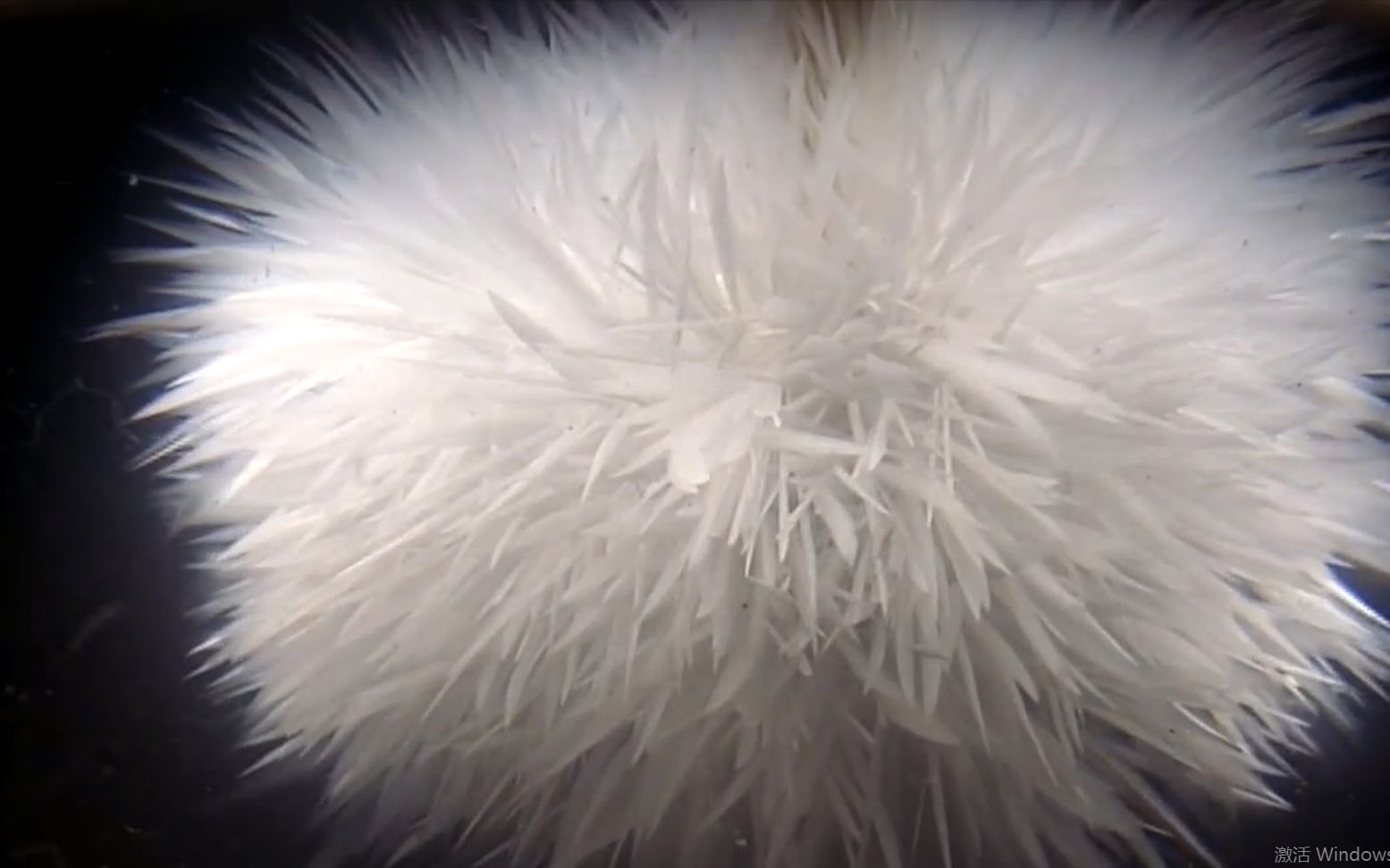 点水也能成冰?炸开的一瞬间简直太美了