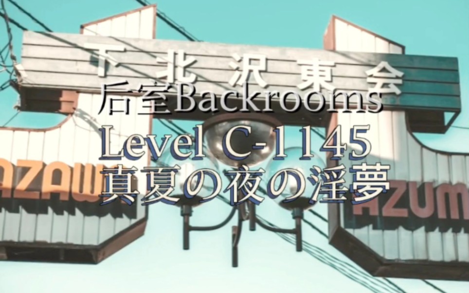 【后室Backrooms】Level C1145  真夏の夜の淫梦哔哩哔哩bilibili