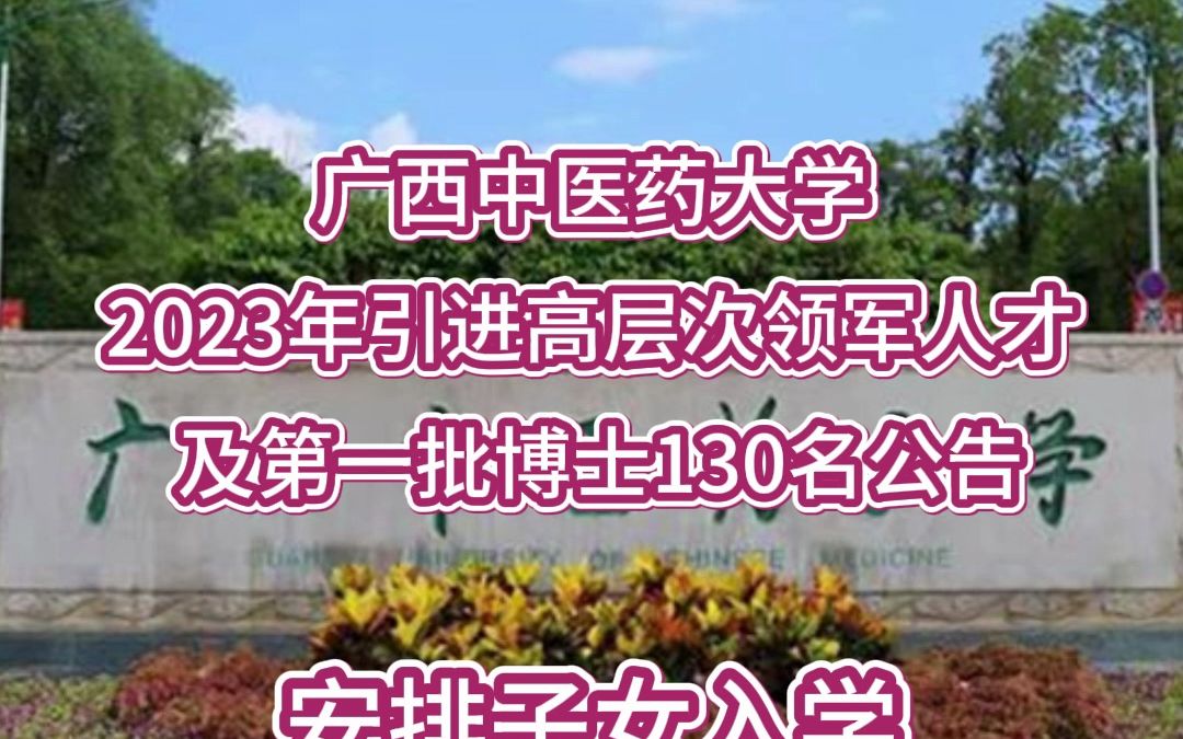 广西中医药大学2023年引进高层次领军人才及第一批博士130名公告哔哩哔哩bilibili