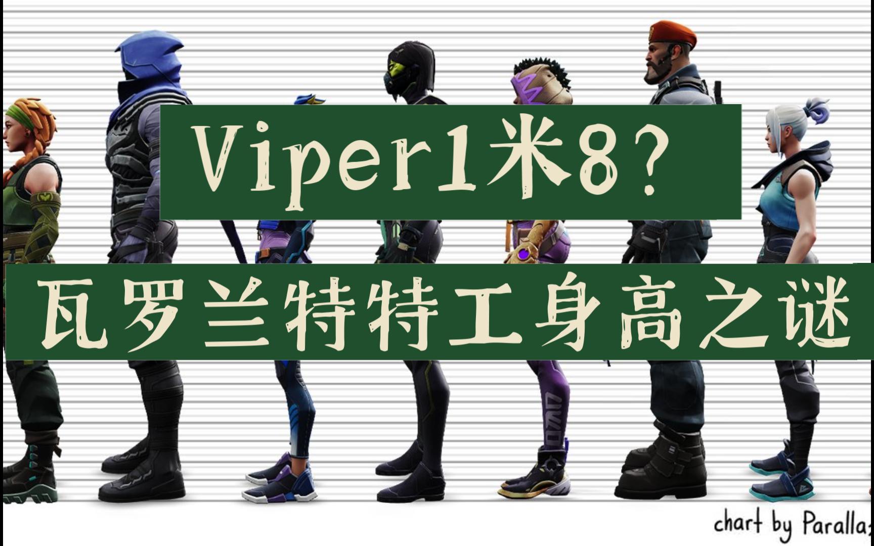 viper身高图片