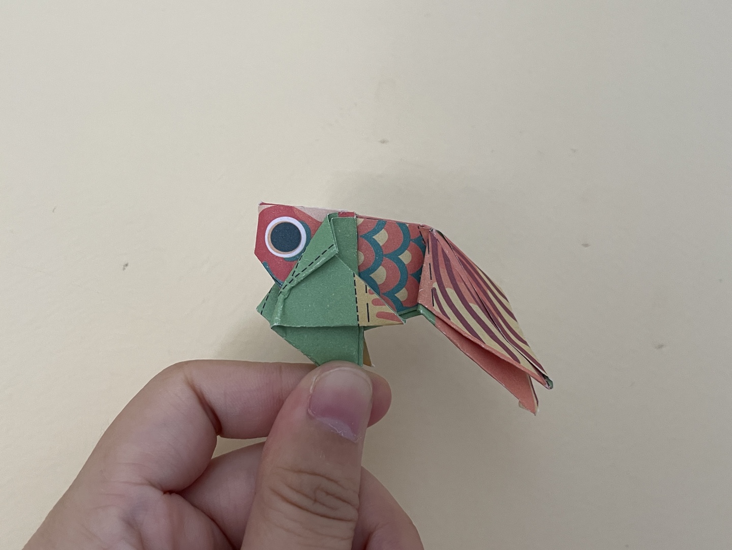 折纸今天是金鱼宝宝
