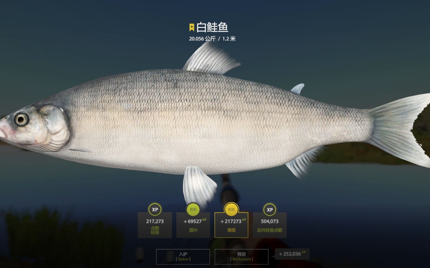 【俄罗斯钓鱼4】阿赫图巴河 白鲑鱼星