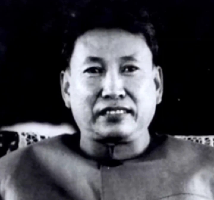 波尔布特极端突脸