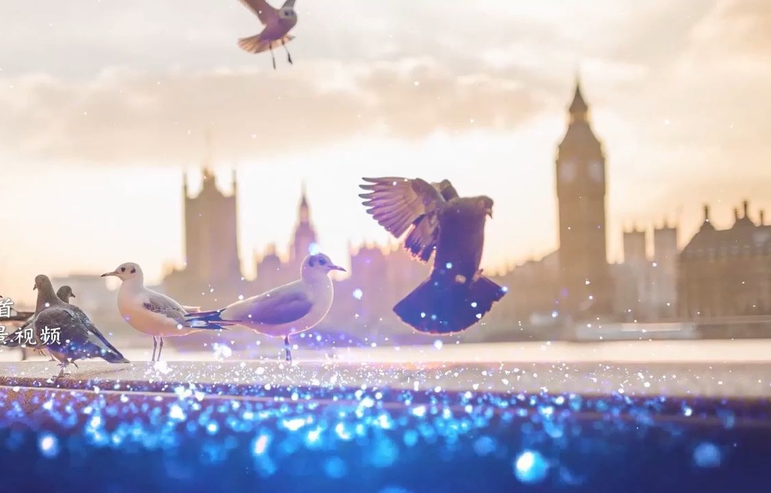 再回首 歌曲背景